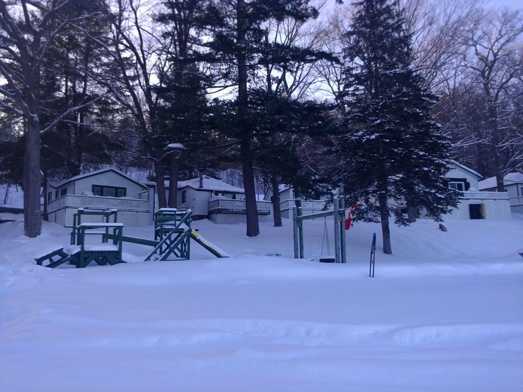 Little Hawk Resort & Marina Algonquin Highlands المظهر الخارجي الصورة