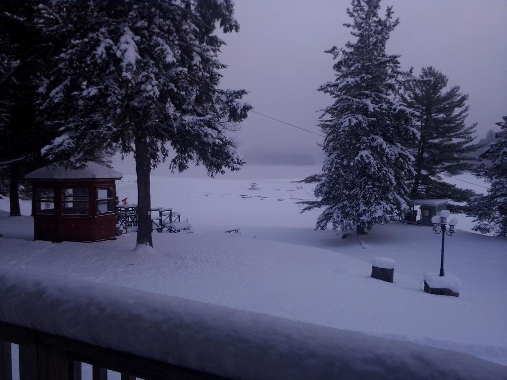 Little Hawk Resort & Marina Algonquin Highlands المظهر الخارجي الصورة