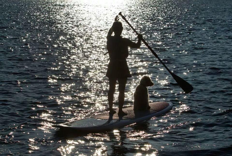 Little Hawk Resort & Marina Algonquin Highlands المظهر الخارجي الصورة