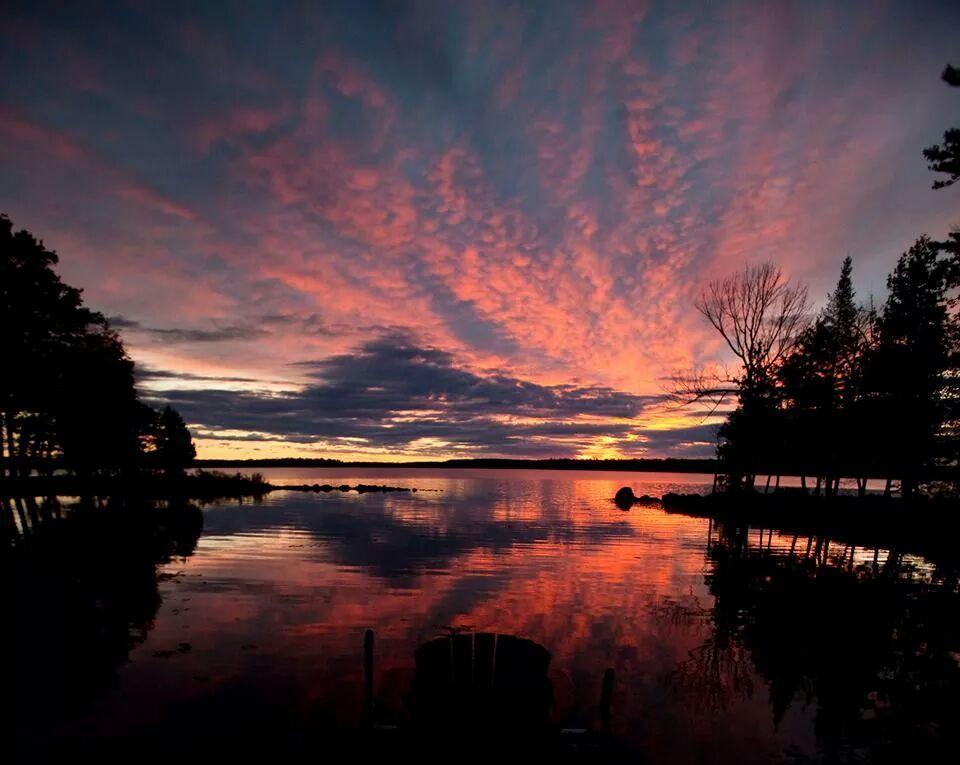Little Hawk Resort & Marina Algonquin Highlands المظهر الخارجي الصورة