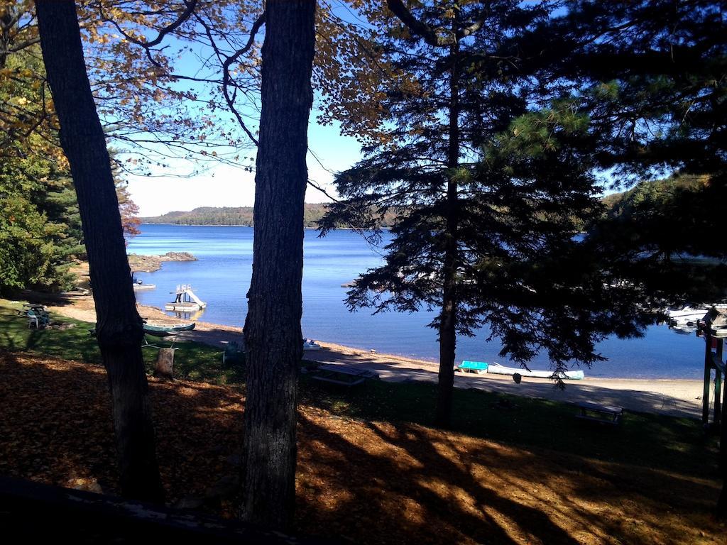 Little Hawk Resort & Marina Algonquin Highlands المظهر الخارجي الصورة