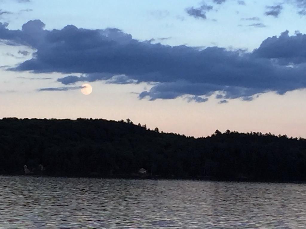 Little Hawk Resort & Marina Algonquin Highlands المظهر الخارجي الصورة